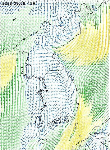 2026-09-08 12 : 00